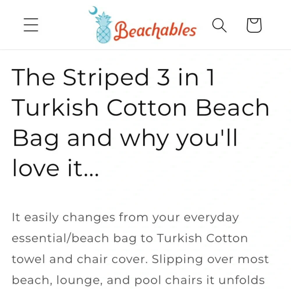 New: Beachables 3 and 1 Turkish Cotton Beach Bag and Blanket